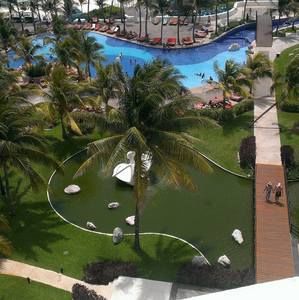 Meet your Posher, Jaxson